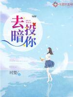 去暗投你小说免费阅读
